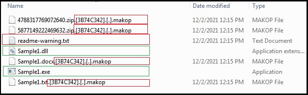 Fig.2 Makop encrypted file samples (Source: Cyfirma)